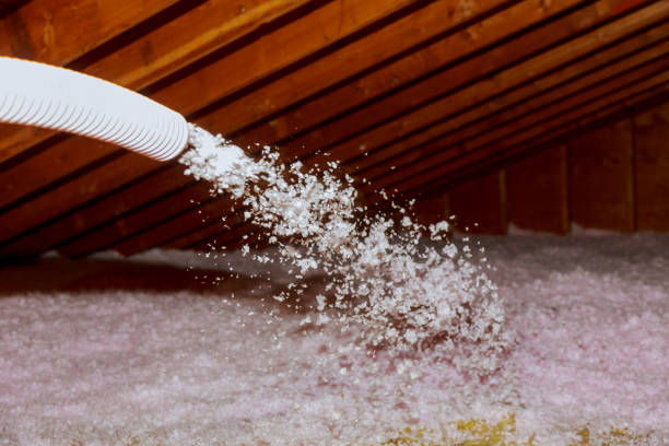 Best Crawl Space Insulation  in Leisure Village, NJ