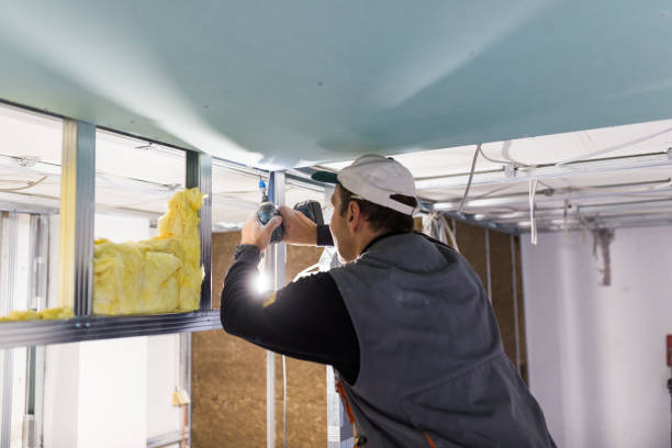 Best Local Insulation Services  in Leisure Village, NJ