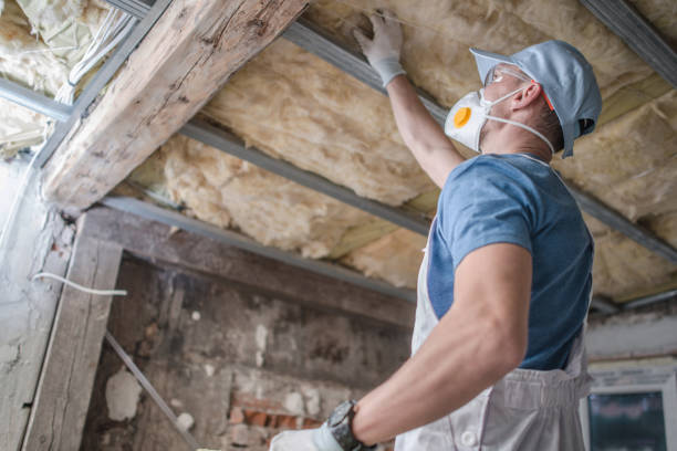 Best Best Insulation Companies  in Leisure Village, NJ