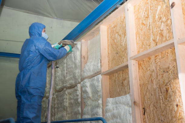 Best Wall Insulation Contractor  in Leisure Village, NJ