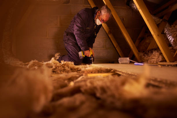 Best Insulation Repair Services  in Leisure Village, NJ